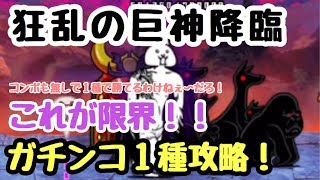 狂乱の巨神降臨   １種で攻略     にゃんこ大戦争   コンボ不要！  超激不要！   狂乱の巨人