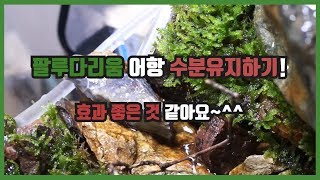 팔루다리움 어항 이끼 수분유지 이렇게 해봤어요. paludarium water retention