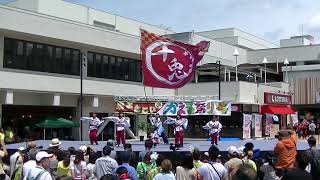 十兎　第９回 堺よさこいかえる祭り