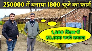 2.5 लाख में बनाया 1800 चूजे का फार्म || 1800 चिक्स में 65000 रुपये कमाया