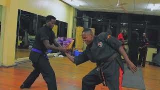 African Kenpo Karate Promotion Day : Purple belt to Green Belt