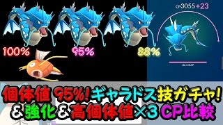 ギャラドス厳選技ガチャ個体値95％＆MAX強化！高個体値CP比較