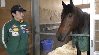 【愛知杯】ランドネ・辻野泰之助手　飛躍の年に