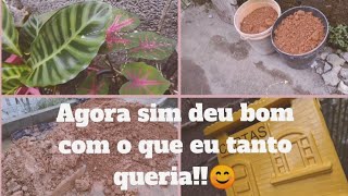 Terra Boa para Plantas + Compra e Um Dia Produtivo no Quintal!