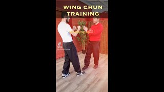 Wing Chun Training : short application for beginners