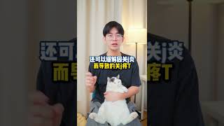 这些人类吃的食物，猫吃了也很有益哦，下次可以分点给它#猫知识#养猫进阶指南#猫咪饮食 #猫知识 #cat #养猫经验分享 #喵星人 #pets #貓咪