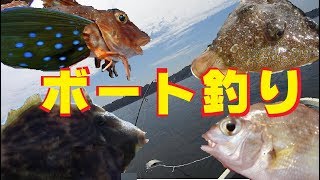 手漕ぎボートで五目釣り！＋釣った魚でフルコース料理！ Paddle Boat Fishing Catch n Cook