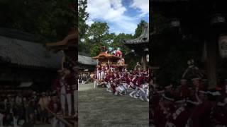 熊取町大森神社宮入 小垣内