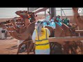 Camel Racing at Al Shahaniya Racetrack in Qatar.