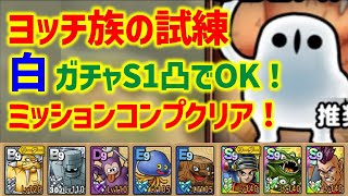 【ドラクエタクト】ヨッチ族の試練 白 ガチャS1凸でOK！ミッションコンプクリア！【真・DQ11イベント】