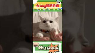 会醒鼻涕的猫猫，太可爱了 #funny #cat #laugh #猫