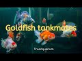 What tank mates are best for your goldfish?