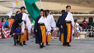 HADANO乱舞「翔」（2018横浜よさこい祭り・赤レンガパーク会場）