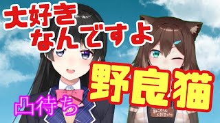 【何故か一目置かれている】偏愛される野良猫　環を可愛がりに降臨する委員長【文野環】