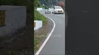 மலைப் பாதையில் காரை பந்தாடிய காட்டு யானை #elephant #chased a #car on the #Coonoor #mountain #road