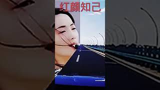 电吹管音质音乐 #中国音乐 #中国乐器 #音乐 #纯音乐