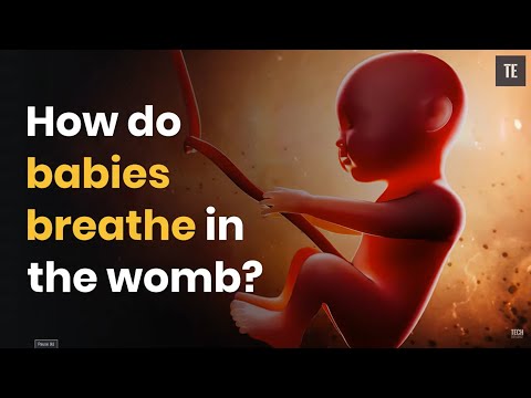 How do you know if your baby is getting enough oxygen in the womb?