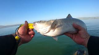 סיפתח חלומי - פתיחת עונה fishing in the Sea of ​​Galilee