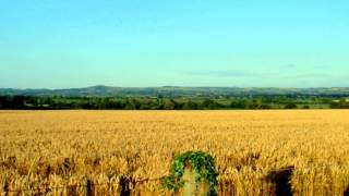 Arable land