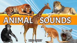 Animal Sounds and Names | Learn Animal Names | Animal Sounds Compilation