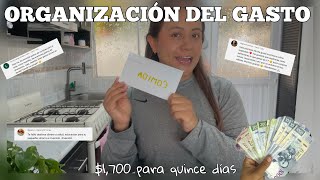 ORGANIZACIÓN DEL GASTO $1700 para toda la QUINCENA💰Lo que pago yo con mis pagos de YouTube❣️✅