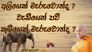 Walpola Gothama Thero පූජ්‍යපාද වල්පොල ගෝතම ස්වාමීන් වහන්සේ