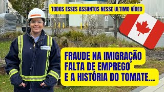 FALTA DE EMPREGO, FRAUDE NA IMIGRAÇÃO E A HISTÓRIA DO TOMATE!!! 🍁🇨🇦 (Tudo isso nesse último vídeo)