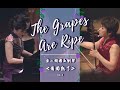 鄭慧博士合奏｜當二胡遇上鋼琴 -葡萄熟了The Grapes Are Ripe