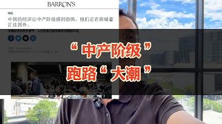 国内“中产”批量跑路，脱旧坑，入新坑？