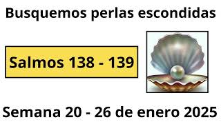 Busquemos perlas escondidas : Salmos 138 - 139 . Semana 20 - 26 de enero 2025