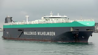 [4K] TAMESIS - WILHELMSEN LINES vehicles carrier 自動車運搬船関門東航 - 2022