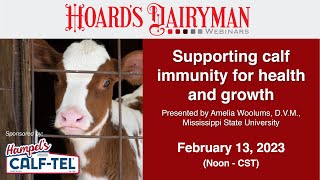 Supporting calf immunity for health and growth