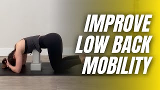Improve Lumbar Spine Mobility | Lumbar Segmentation Kinstretch Class Clip