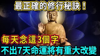 高僧開示：最正確的修行秘訣！每天念這3個字，福報會越來越大！不出7天命運將會發生重大改變！#熱門 #神咒 #推薦 #正能量 #靈氣