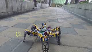 Hexapod Robot! 18 degree of freedom/ Homemade Projects