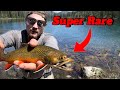 Fly Fishing Alpine Lakes for Super Rare Trout!