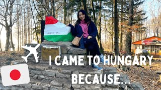 Why did I come to Hungary? My first impressions of Hungary! Youは何しにハンガリーへ①