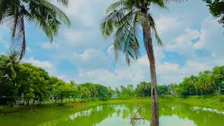 Natural Beauty of Dinajpur