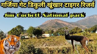 Jim Corbett Tiger Reserve | डिकुली खूंखार टाइगर त्रिनिटी | #Sunderkhal #dailyvlogs #travelvideos