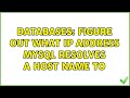 Databases: Figure out what IP address MySQL resolves a host name to (3 Solutions!!)