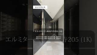 【1分内見】ルームツアー |エルミタージュ東高円寺205|杉並区｜東高円寺駅　新高円寺駅｜1K｜room tour