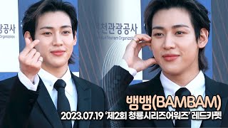 뱀뱀(BAMBAM), 완벽하다 더 이상의 완벽은 없다(‘제2회 청룡시리즈 어워즈’ 레드카펫) [TOP영상]