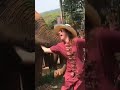 elephant attack a girl