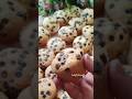 Chocolate Chips Cupcakes #cupcakes #chocolatecake  #shorts #ytshorts @tastypistrina6832