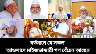 বর্তমানে যে সকল আওলাদে মাইজভান্ডারীগণ বেঁচে আছেন