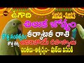 ఉగాది -చిలుక షాకులు వింతలు | UGADI 2022 KARKATAKA RASI ASTROLOGY | #UGADI | CANCER | CHILUKA JOSYAM