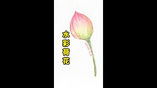 【水彩教學丨watercolor painting for beginners easy and simple】水彩零基礎教學 荷花#shorts