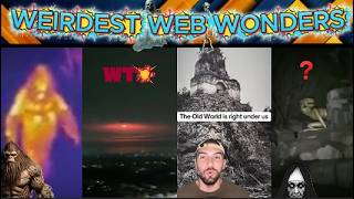 weirdest web wonders vol 133