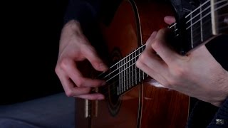 Ludovico Einaudi - Primavera (Guitar Cover)