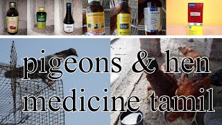 pigeons medicine tamil